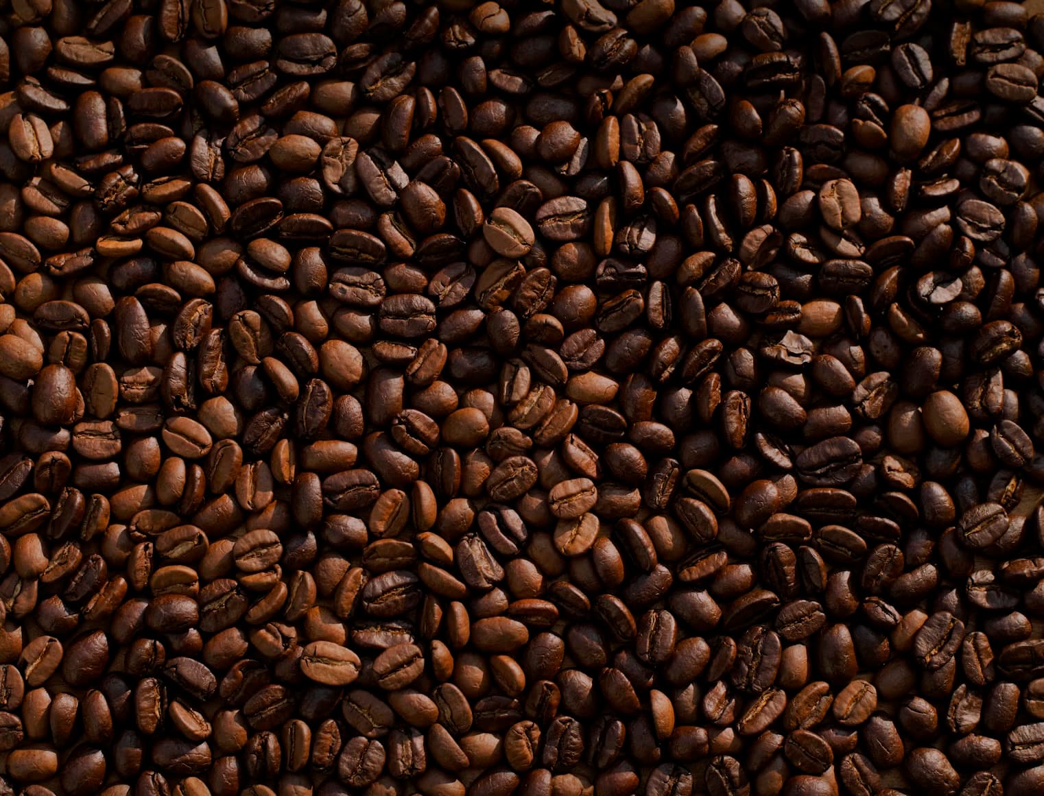 Roasted coffee beans